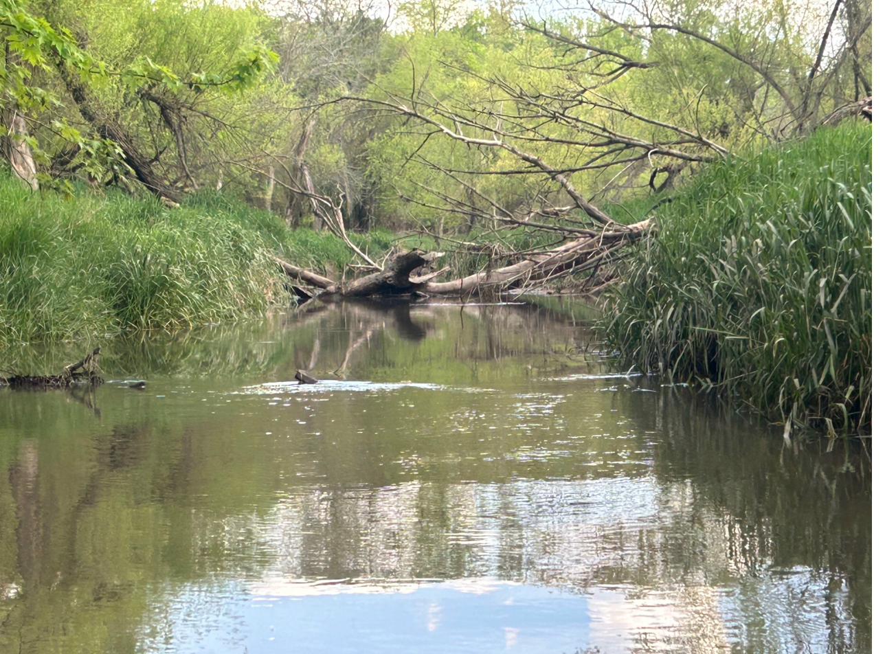 Peaceful stretch of the Vermilion River near Pontiac, Illinois